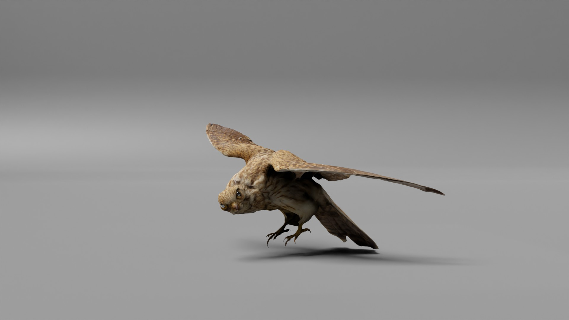 3D Photorealistic Female Kestrel Bird https://p.turbosquid.com/ts-thumb/fL/6bgT0w/9U/femalekestrel/jpg/1634082242/1920x1080/turn_fit_q99/2298786d02bd690ea29ef666bc2b8f4b68aca95d/femalekestrel-1.jpg