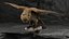 Photorealistic Female Kestrel Bird