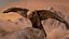 Photorealistic Female Kestrel Bird