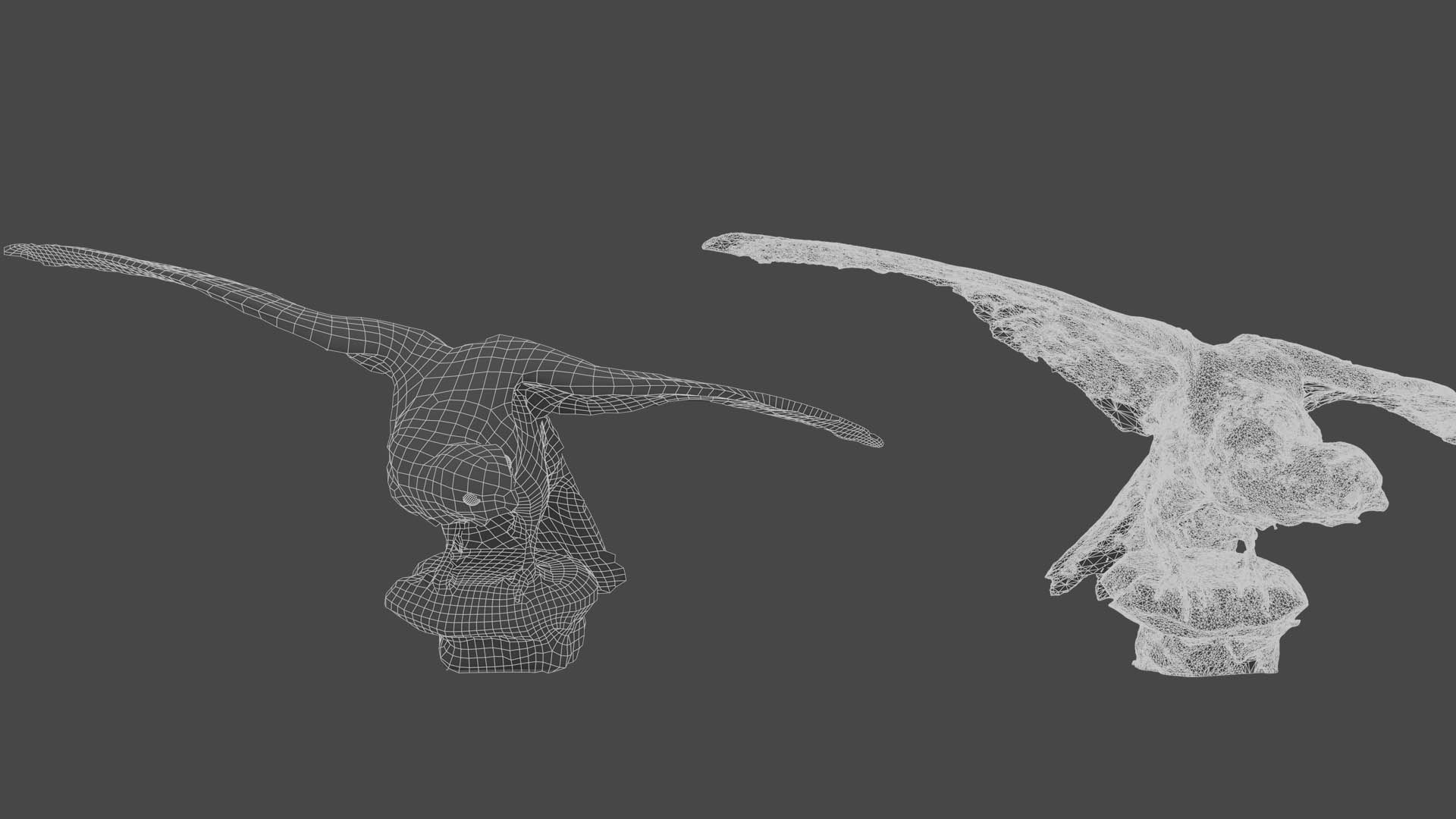 3D Photorealistic Female Kestrel Bird https://p.turbosquid.com/ts-thumb/fL/6bgT0w/hR/wireframe/jpg/1629409024/1920x1080/fit_q87/101043b3f1a7a9453c24dc5e786fd1fa873b58d5/wireframe.jpg