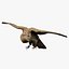 Photorealistic Female Kestrel Bird