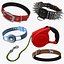Hundehalsbänder Kollektion 4