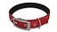 Hundehalsbänder Kollektion 4