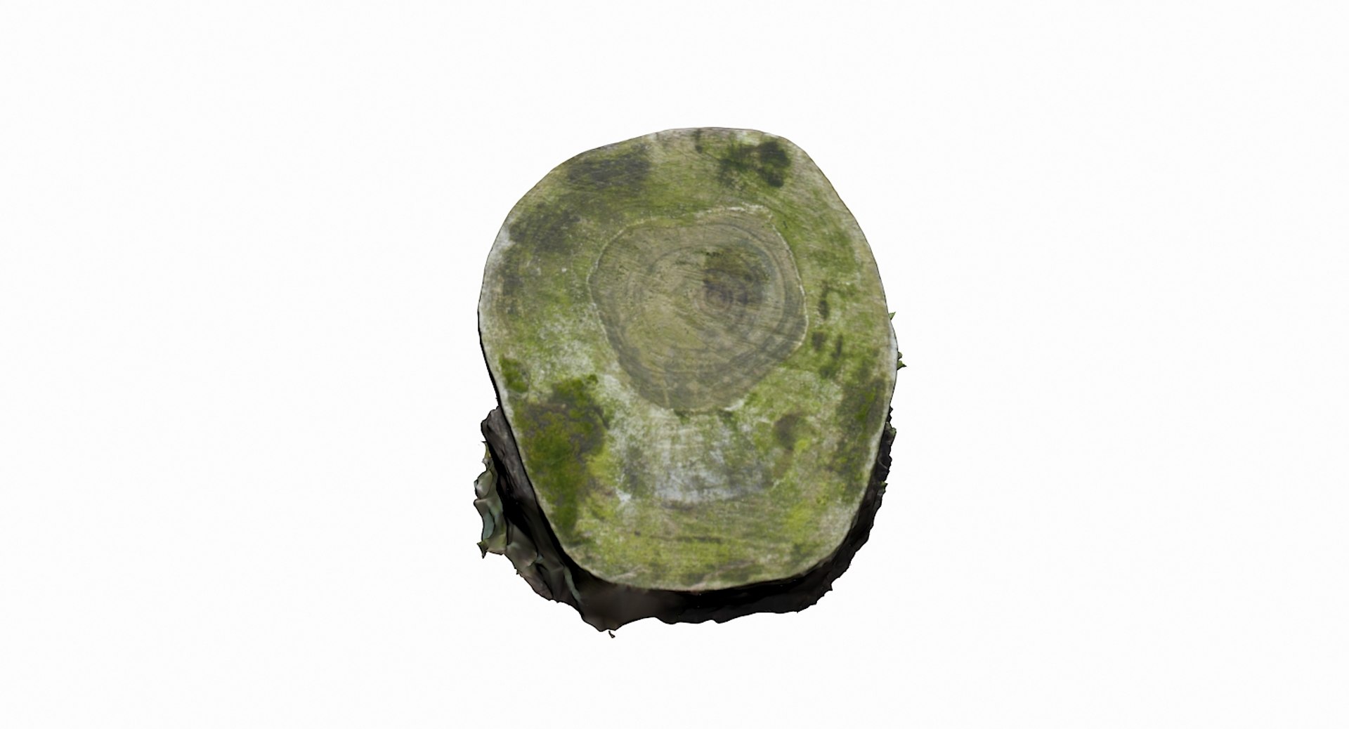 mossy log 3D model https://p.turbosquid.com/ts-thumb/fL/E98jyr/1QpbwDJp/2/jpg/1553197278/1920x1080/fit_q87/07a8183604a522298845d1c264001724cab0c8e5/2.jpg