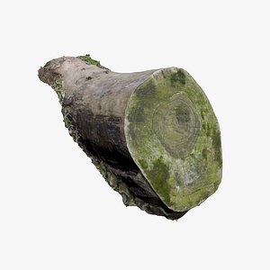 mossy log 3D model