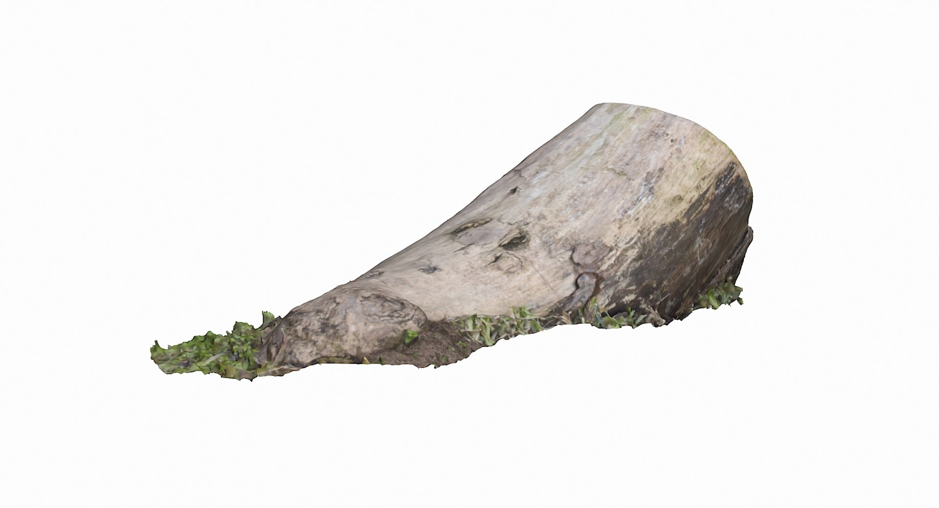 mossy log 3D model https://p.turbosquid.com/ts-thumb/fL/E98jyr/B75As0uJ/6/jpg/1553197278/1920x1080/fit_q87/86741f4c8f1369d318bd56ae66a5243974de1ae3/6.jpg