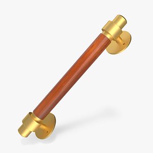 Door Gold Handle with Wooden Insert