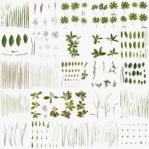 3D Pbrpx Atlas package model