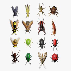 Insects Pack - Low Poly