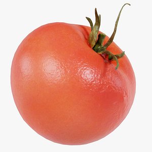 Tomato Remastered 3D model