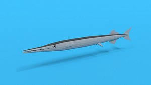 3D Low Poly Cartoon Garfish
