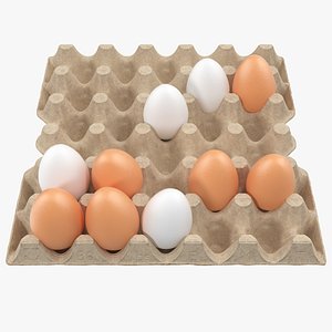 Carton 30 Cells Cardboard with Eggs
