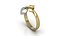 Ring # 34