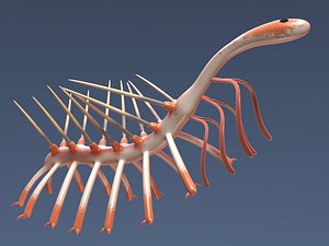 3d model hallucigenia cambrian fossils