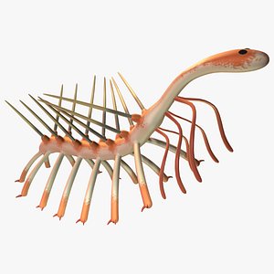 3d model hallucigenia cambrian fossils