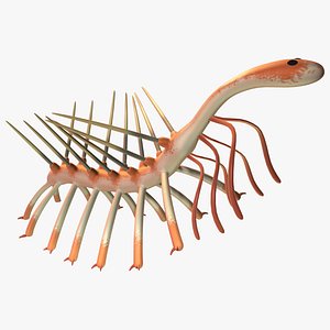 hallucigenia