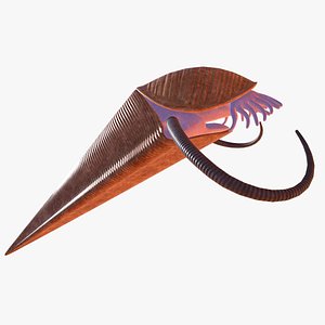 hyolitha 3D