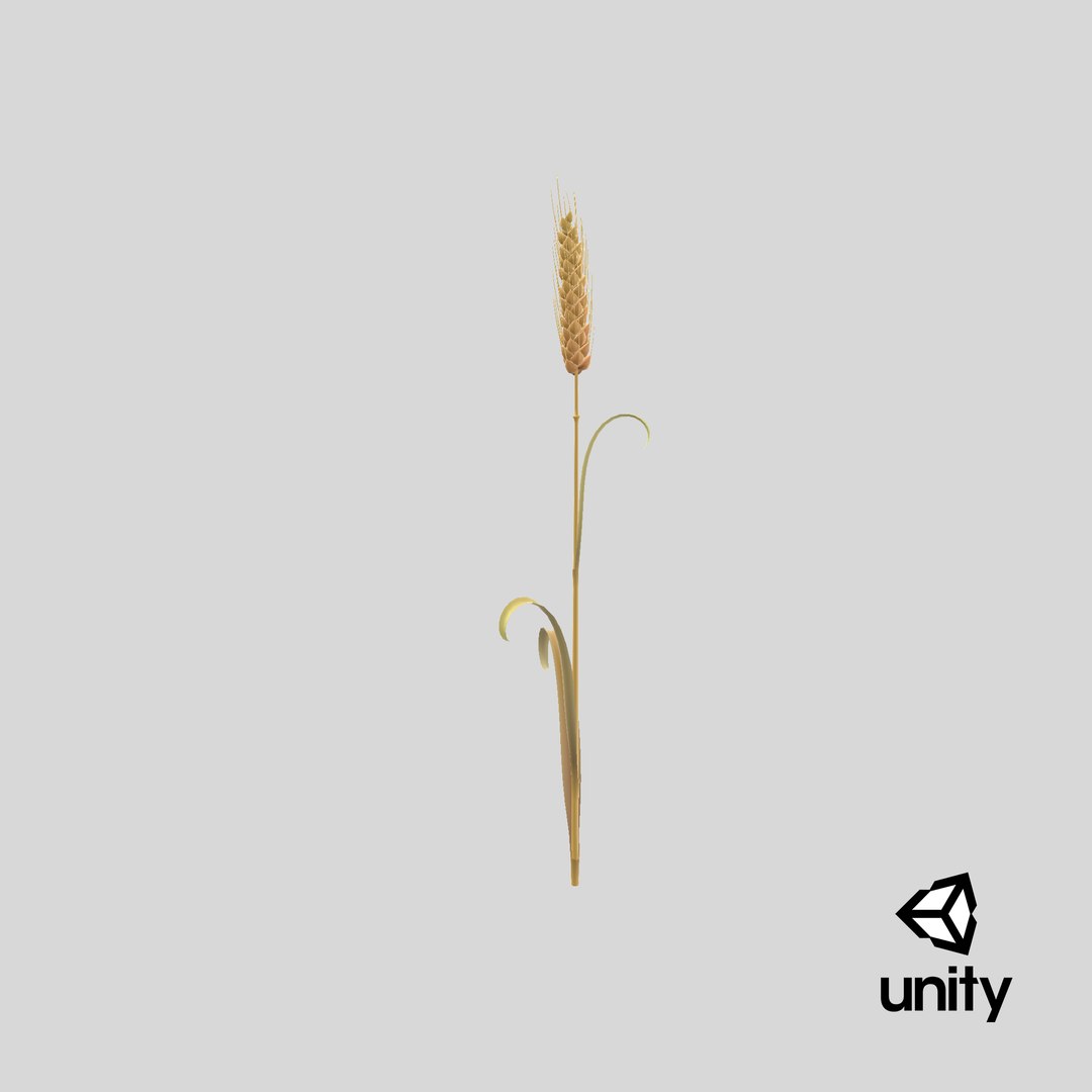 Cartoon Wheat Spikelet 03 3D https://p.turbosquid.com/ts-thumb/fM/VrnFwA/ae/stemcell_unity_render/png/1680679646/1920x1080/fit_q87/b6c31a58fe31dcd980c984e28747969088a10703/stemcell_unity_render.jpg