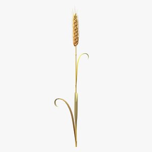 Cartoon Wheat Spikelet 03 3D