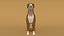 3D boxer dog