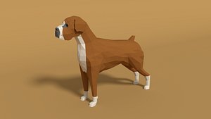 3D boxer dog