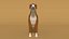 3D boxer dog