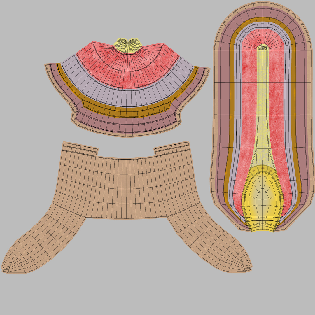 Hair anatomy 3D model - TurboSquid 1270898