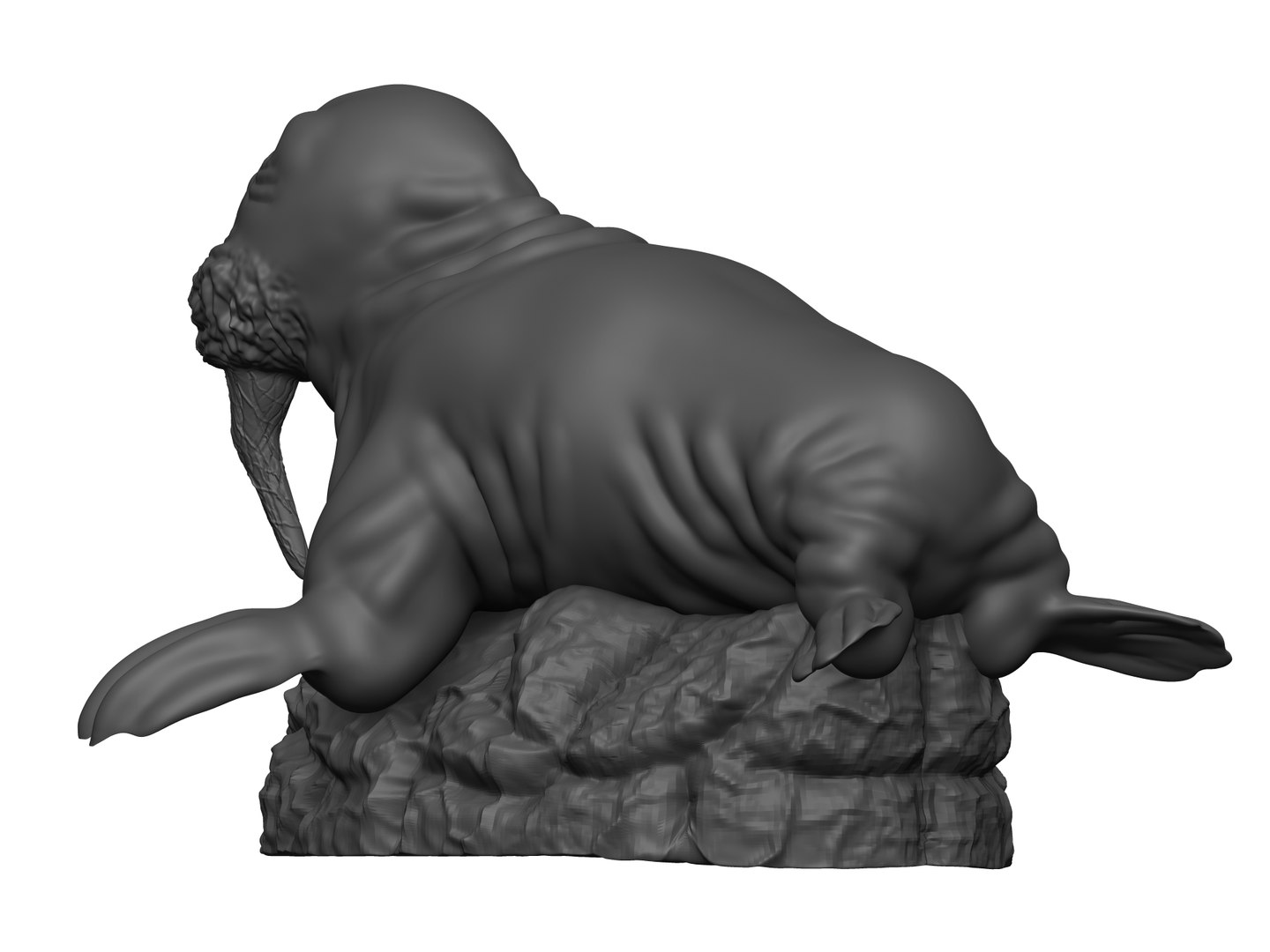 Realistic Walrus 3D model - TurboSquid 1874652