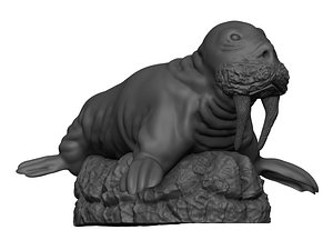 Realistic Walrus 3D model
