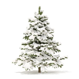 pine tree snow 2 3D model