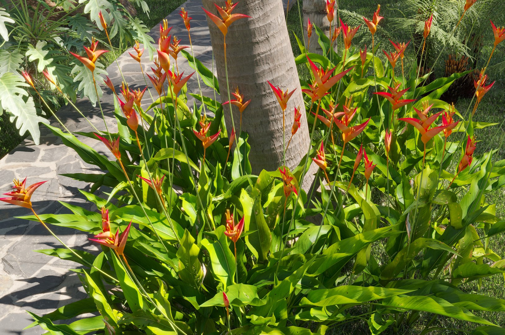 Collection 27 - Tropical garden 3D model https://p.turbosquid.com/ts-thumb/fM/oYu2jL/OF/bundle_27_view_02/jpg/1670576246/1920x1080/fit_q87/916c43ff3c16a6beeec374175ceaf6a6441190f8/bundle_27_view_02.jpg
