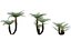 Collection 27 - Tropical garden