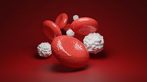 3D Red and White Blood Cells