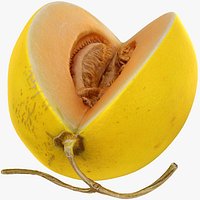 Golden Cantaloupe Cut