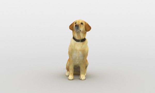 3d model dog