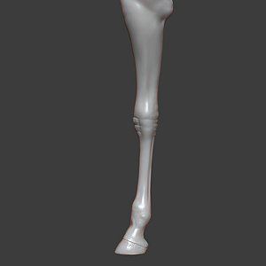 Giraffe Front Leg Highpoly Sculpt model
