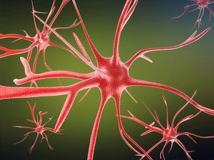 3D neurons cells medical animation