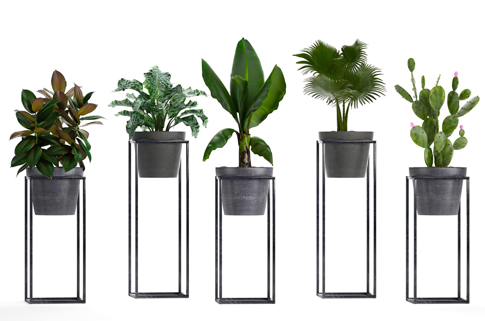 3D model loft exotic plants https://p.turbosquid.com/ts-thumb/fN/TQS3Mn/2ci9PhA1/plant151002/jpg/1539687486/1920x1080/fit_q87/c99f06b06029a3fd4209341692fddae3ed887dc7/plant151002.jpg