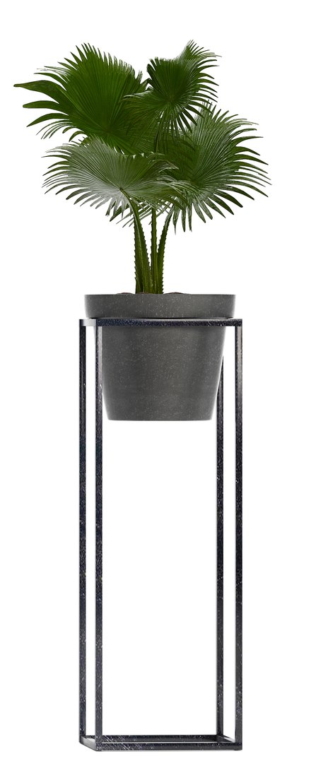 3D model loft exotic plants https://p.turbosquid.com/ts-thumb/fN/TQS3Mn/JR4GWQWY/plant151006/jpg/1539687486/1920x1080/fit_q87/979f1a0a5e00651f2125226dcd404c358e4aa26d/plant151006.jpg