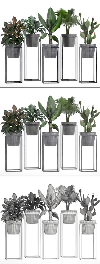 3D model loft exotic plants https://p.turbosquid.com/ts-thumb/fN/TQS3Mn/Oga48Pwz/plant151012/jpg/1539687486/1920x1080/fit_q87/076c00d9b6693af24137ed24bbe666088249c524/plant151012.jpg