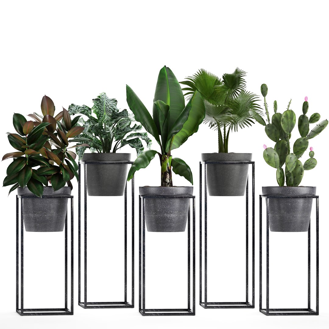 3D model loft exotic plants https://p.turbosquid.com/ts-thumb/fN/TQS3Mn/RkjXfKVK/plant151001/jpg/1539687486/1920x1080/fit_q87/f8bce7a3d257577ab549da09644a3a11fa98890c/plant151001.jpg
