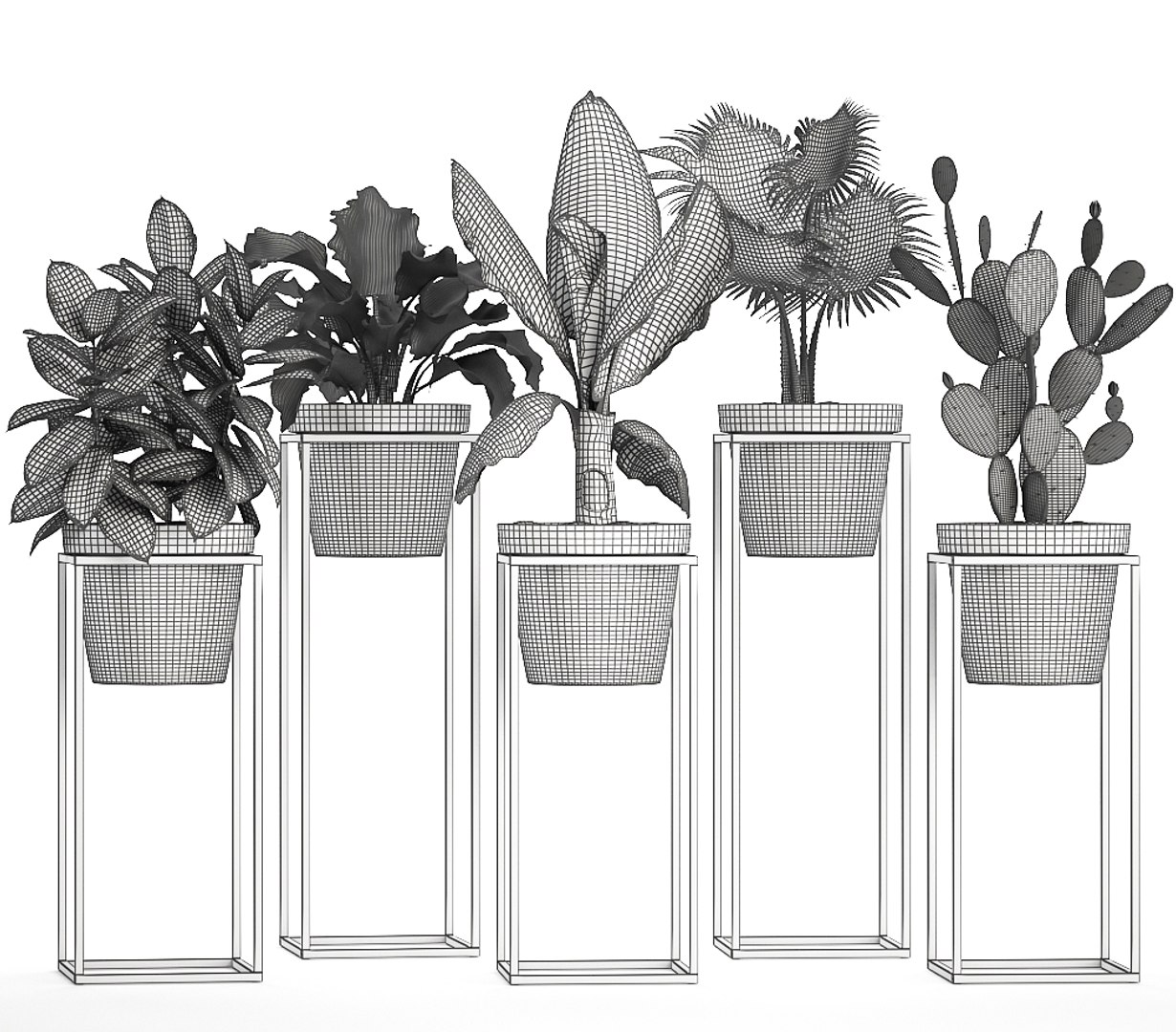 3D model loft exotic plants https://p.turbosquid.com/ts-thumb/fN/TQS3Mn/SQT86jMu/plant151009/jpg/1539687486/1920x1080/fit_q87/781346d16aa84053d6ec3f93b306739e8498e8e9/plant151009.jpg