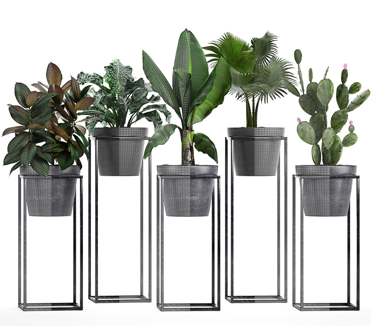 3D model loft exotic plants https://p.turbosquid.com/ts-thumb/fN/TQS3Mn/e8kXAXNt/plant151011/jpg/1539687486/1920x1080/fit_q87/b00425f07b920f7c14b3daae486b4667466f47fb/plant151011.jpg