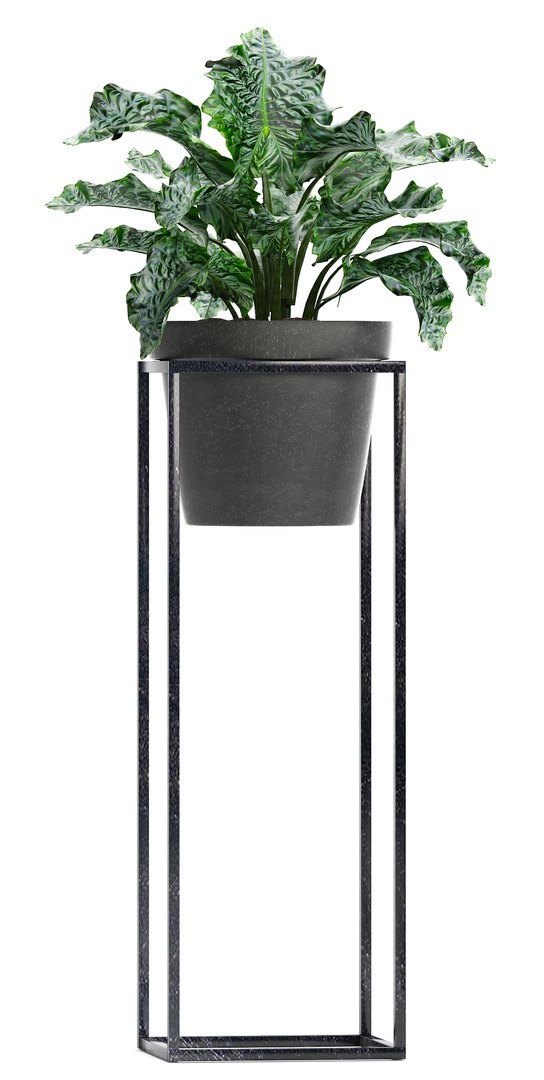 3D model loft exotic plants https://p.turbosquid.com/ts-thumb/fN/TQS3Mn/gPvjmNiN/plant151004/jpg/1539687486/1920x1080/fit_q87/3dc572bbd133e02b60f2f0f30aec1ee73efa0043/plant151004.jpg