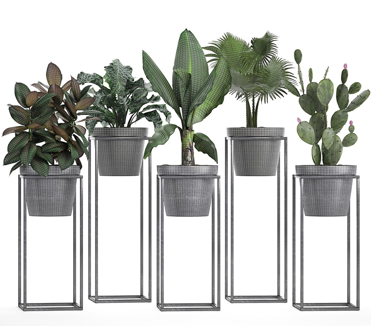 3D model loft exotic plants https://p.turbosquid.com/ts-thumb/fN/TQS3Mn/gZ6XNIRv/plant151010/jpg/1539687486/1920x1080/fit_q87/8ff168f3f5fabd583848b264aa10bd671163b0b6/plant151010.jpg