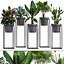 Coleção de plantas exóticas