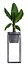 Coleção de plantas exóticas
