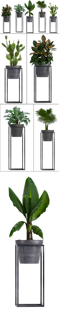 3D model loft exotic plants https://p.turbosquid.com/ts-thumb/fN/TQS3Mn/uXJbSNek/plant151014/jpg/1539687486/1920x1080/fit_q87/e035157488f90475ade745bcfc41b7a5d403b4ae/plant151014.jpg