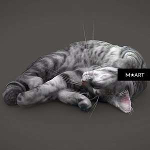 Sleeping Cat