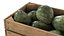 Cherimoya Fruit Wooden Crate